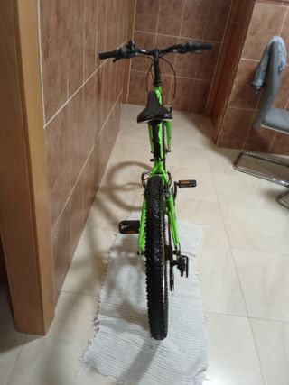 Bicicleta Neon verde