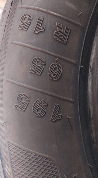 Neumáticos 195/65 R15 91V