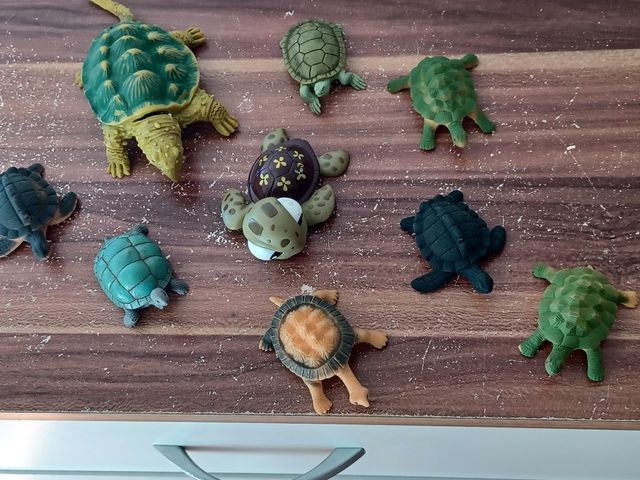 Set Tartarughe Decorative Varie