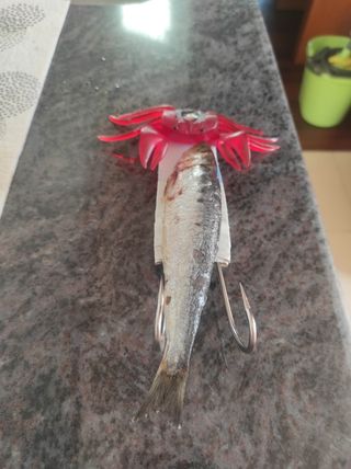 Pulpera o raña para pesca