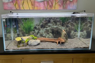 Acuario grande