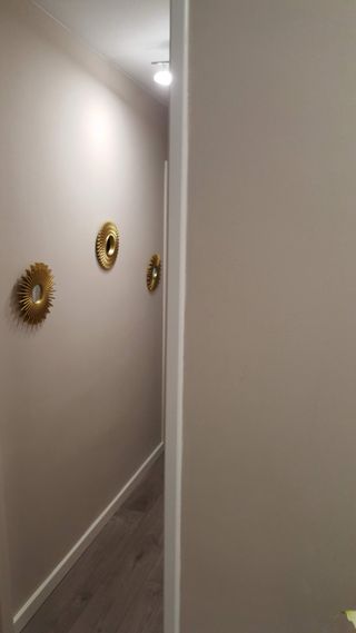 Pintor profesional económico