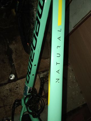 Bicicleta de montaña stunt verde megamo
