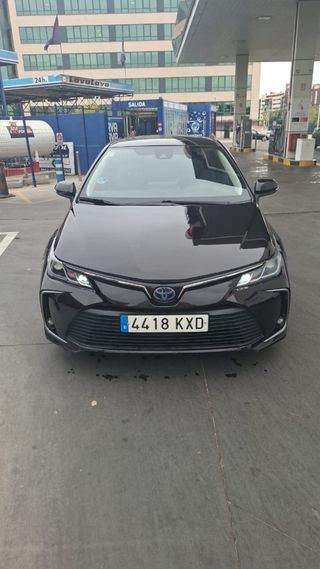 Toyota Corolla 2019