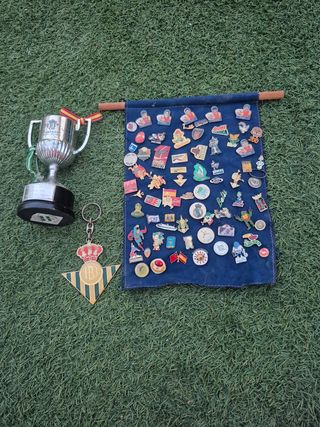 Lote de pines antiguos y trofeo