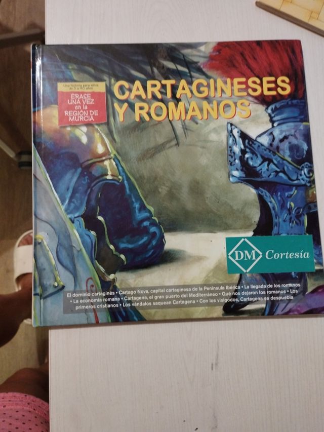 Cartagineses y romanos