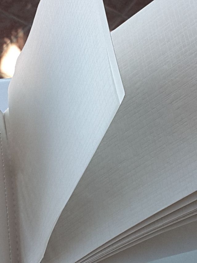 PORTAFOTOGRAFIE "MINNIE MOUSE"