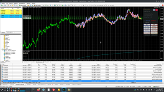 Programador Forex avanzado MT4 / MT5