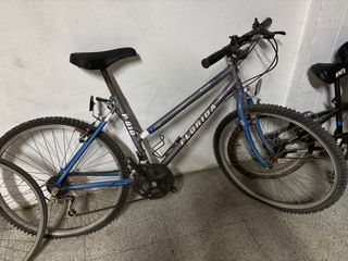 Bicicleta Florida P810