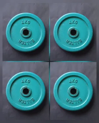 Discos pesas Salter 4kg