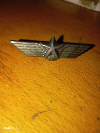 Insignia militar vintage con estrella