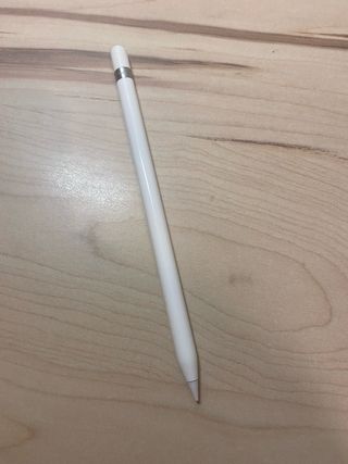 Apple Pencil 1ª Gen