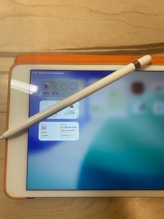 Apple Pencil 1ª Gen