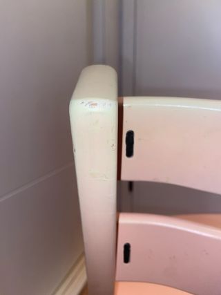 Trona evolutiva Stokke