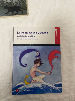 La Rosa De Los Vientos N/c (Cucana) (Spanish Ed...