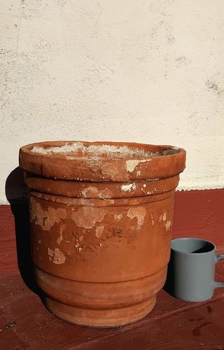 Maceta de terracota grande