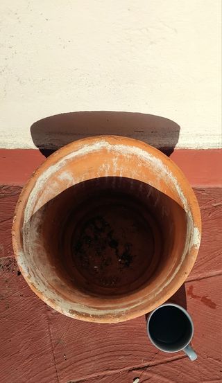 Maceta de terracota grande
