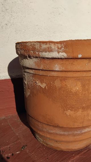 Maceta de terracota grande