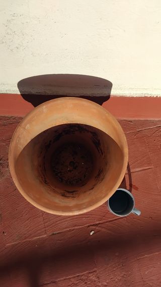 Maceta de barro terracota