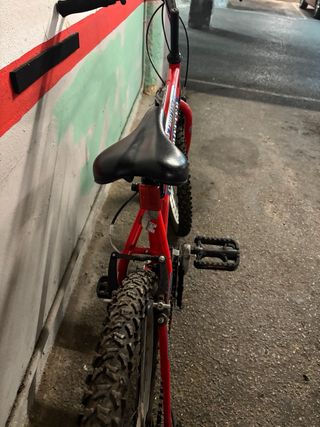 Bicicleta Globe Trotter 24.