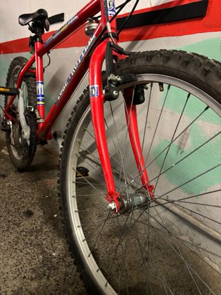 Bicicleta Globe Trotter 24.