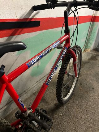 Bicicleta Globe Trotter 24.