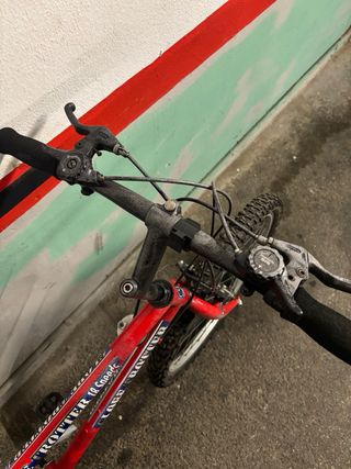 Bicicleta Globe Trotter 24.