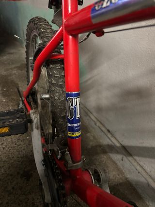 Bicicleta Globe Trotter 24.