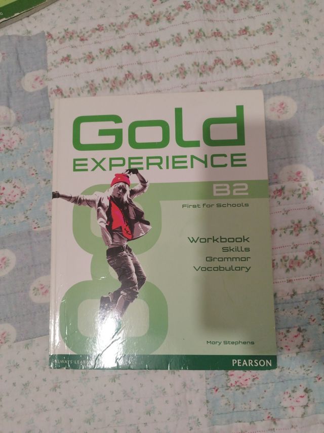 GOLD EXPERIENCE B2 LANGUAGE AND SKILLS WORKBOOK