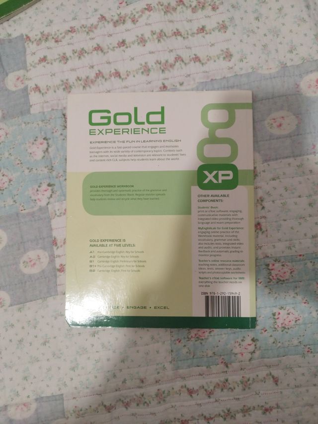 GOLD EXPERIENCE B2 LANGUAGE AND SKILLS WORKBOOK