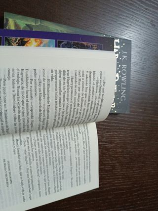 Harry Potter La piedra filosofal