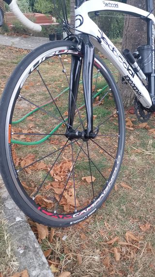 Dedaccia Absoluta Bicicleta de Carretera