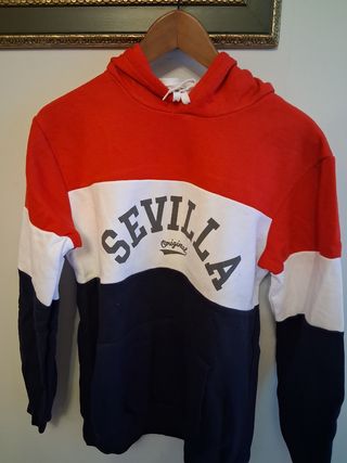 Sudadera con capucha tricolor