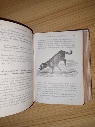 Medicina y cirugía caninas. Libro antiguo.medicina