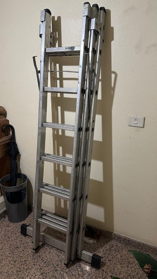 Escalera profesional
