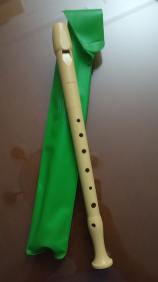 Flauta dulce con funda verde