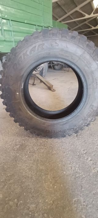 Neumático todoterreno Dakar