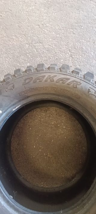 Neumático todoterreno Dakar