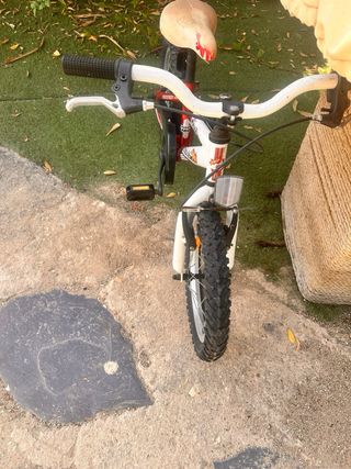 Bici Coluer Rider 160