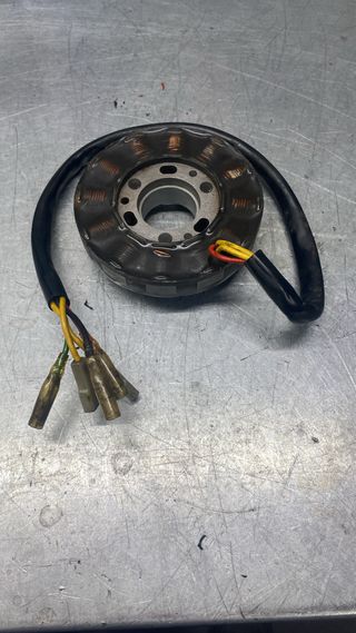 Statore Rotax 123 SEM