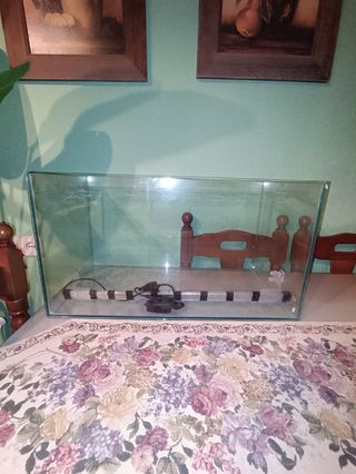 Acuario/pecera