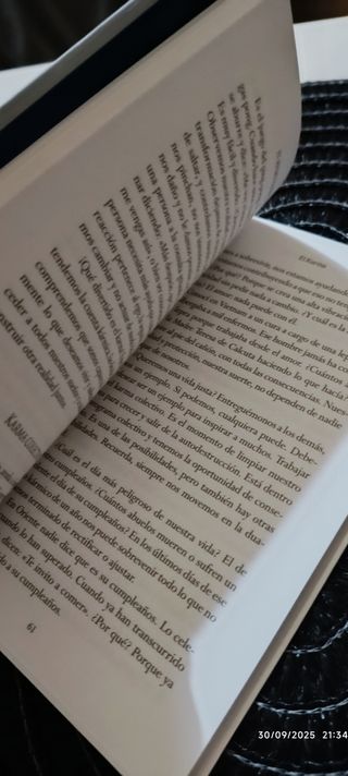 El reset colectivo (Spanish Edition)