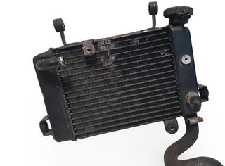 Radiador Agua Honda Cbr 125 (Pc34) 2004-2006