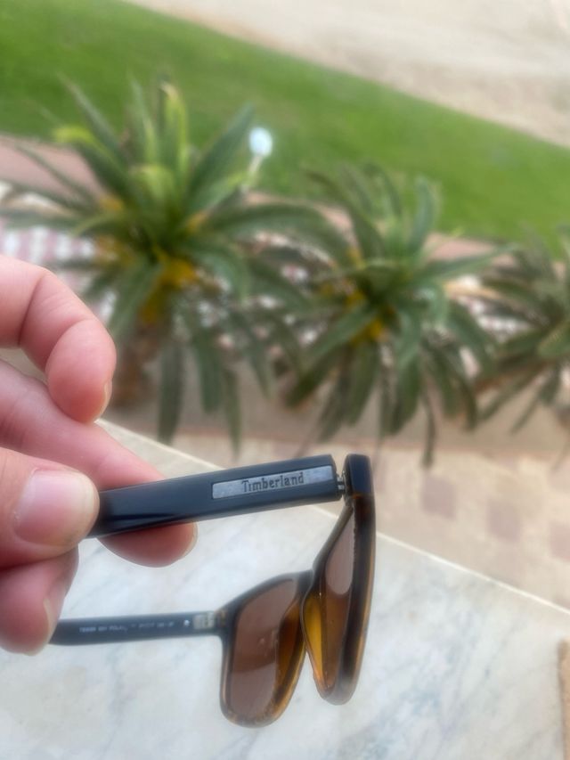 Gafas de sol Timberland