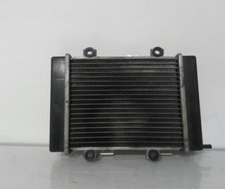 Radiador Agua Hyosung MS3 125 (2004-2009)