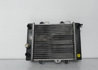 Radiador Agua Hyosung MS3 125 (2004-2009)