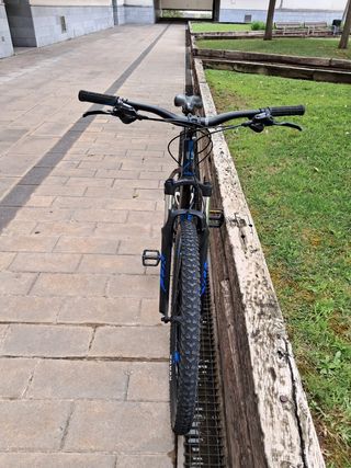 Bicicleta Orbea MX 29