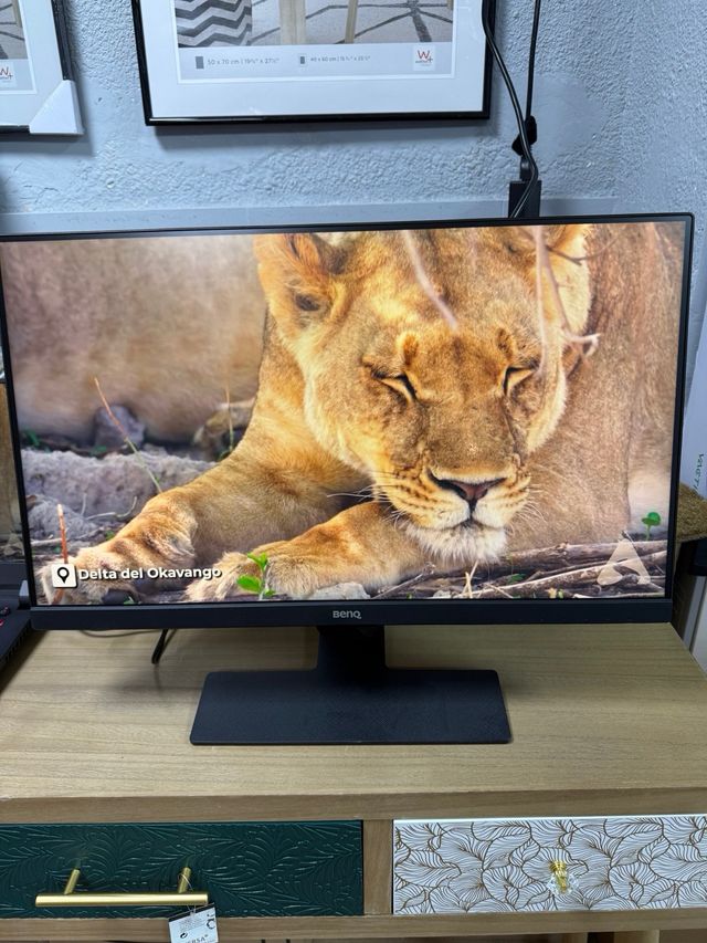 Monitor BenQ Negro