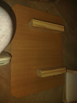 Sedia per cani con megaesofago Bayley