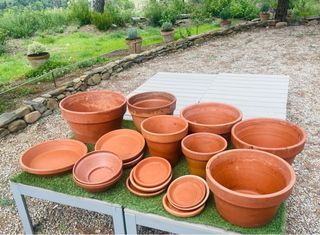 Lote Macetas Terracota.